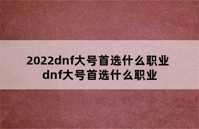 2022dnf大号首选什么职业 dnf大号首选什么职业